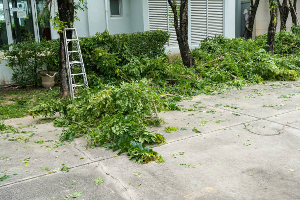 Leaf Removal in Urbandale, IA